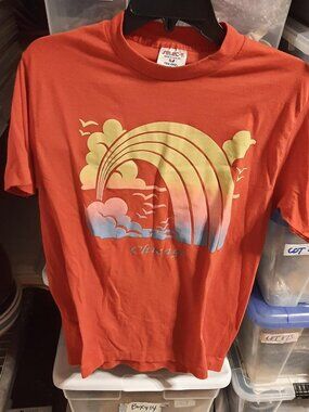 Vintage Chicago Rainbow T Shirt Red Size M
